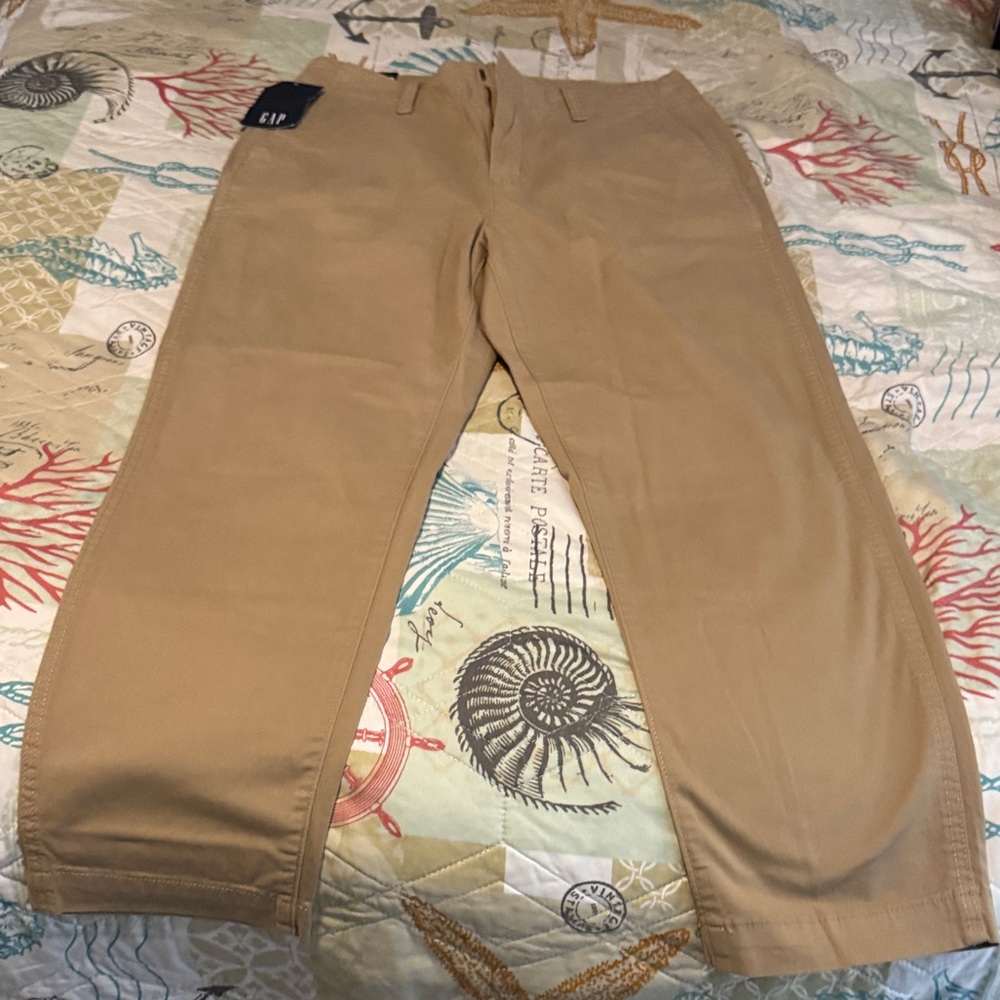 GAP Men’s Tan Chino Pants